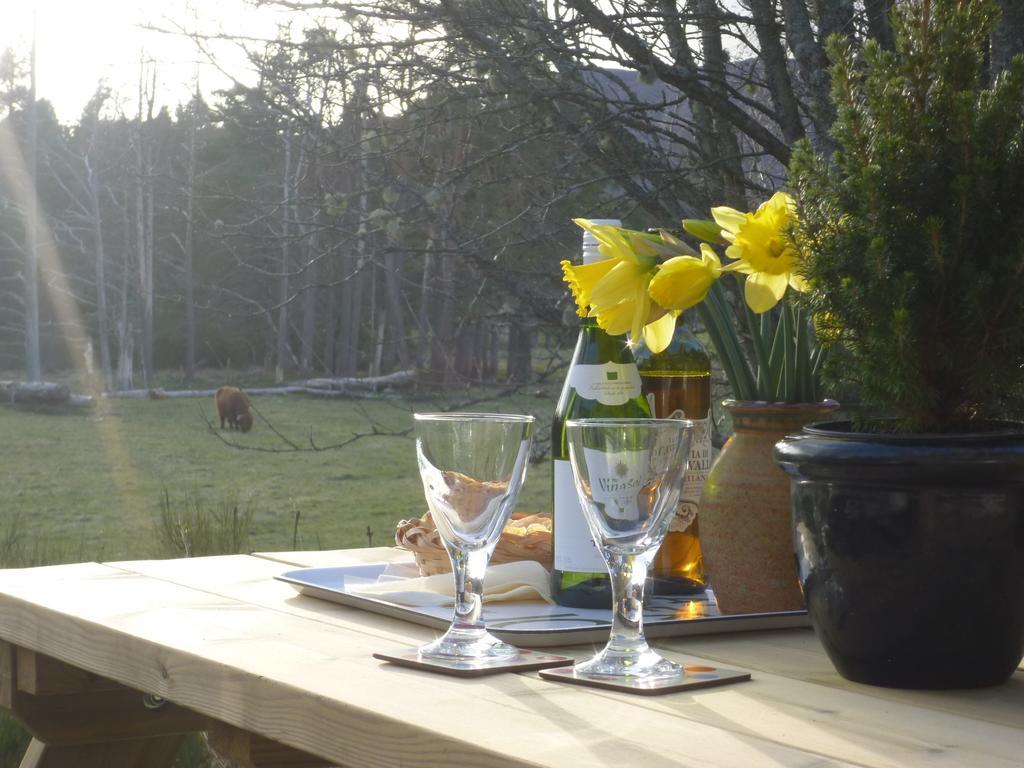 Camusmore House Aviemore Εξωτερικό φωτογραφία
